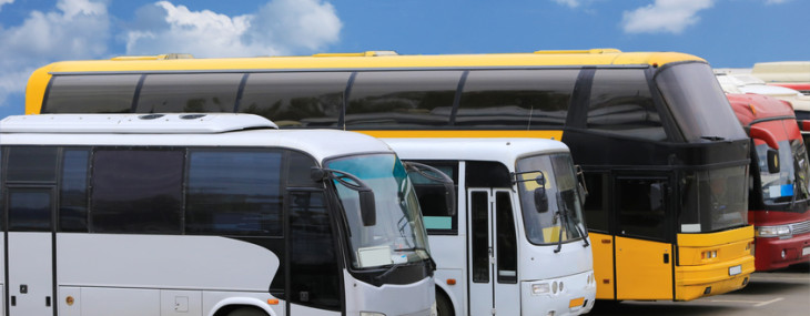 Fernbusse im Vergleich
