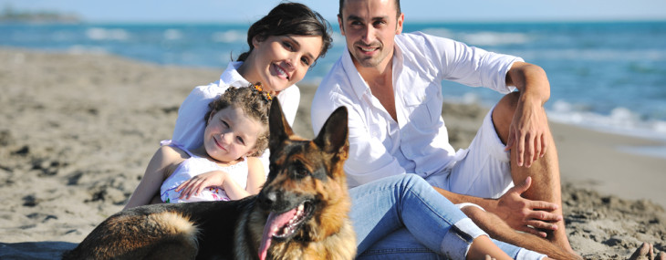 Urlaub mit Hund